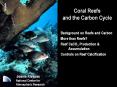 Coral Reefs and the Carbon Cycle PowerPoint PPT Presentation