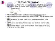 Transverse Wave