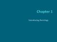 Introducing Sociology PowerPoint PPT Presentation