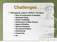 Challenges . . . PowerPoint PPT Presentation