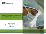 Effective%20Auditing%20