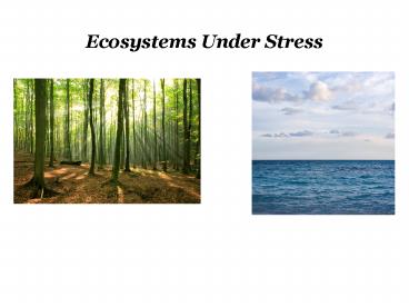 Ecosystems Under Stress
