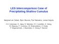 LES Intercomparison Case of Precipitating Shallow Cumulus  Margreet van Zanten, Bjorn Stevens, Pier Siebesma, Louise Nuijens A.S. Ackerman, H. Jiang, D. Mechem, D.C. Lewellen, S. Wang, B. Shipway, F. Couvreux, M. Khairoutdinov, A. Noda, P. PowerPoint PPT Presentation