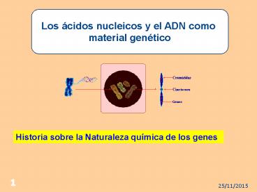 ADN como material gen