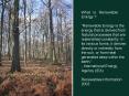 What  is  Renewable  Energy ?  PowerPoint PPT Presentation