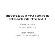 Entropy Labels in MPLS Forwarding draft-kompella-mpls-entropy-label-01