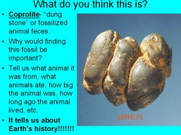 What do you think this is?