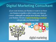 Digital Marketing Consultant