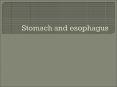 Stomach and esophagus PowerPoint PPT Presentation