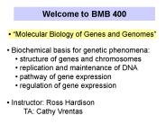 Welcome to BMB 400