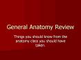 General Anatomy Review PowerPoint PPT Presentation