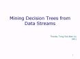 Mining%20Decision%20Trees%20from%20Data%20Streams PowerPoint PPT Presentation