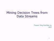 Mining%20Decision%20Trees%20from%20Data%20Streams