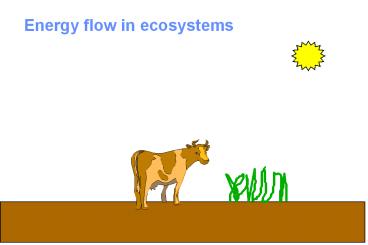 Energy%20flow%20in%20ecosystems
