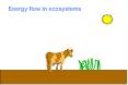 Energy%20flow%20in%20ecosystems PowerPoint PPT Presentation