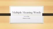 Multiple Meaning words