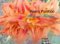 Poetry Portfolio PowerPoint PPT Presentation