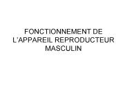 FONCTIONNEMENT DE L