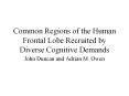 Common Regions of the Human Frontal Lobe Recruited by Diverse Cognitive Demands PowerPoint PPT Presentation