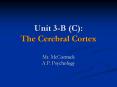 Unit 3-B (C): The Cerebral Cortex PowerPoint PPT Presentation