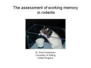 The assessment of working memory