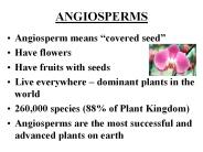 ANGIOSPERMS