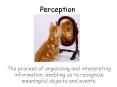 Perception PowerPoint PPT Presentation
