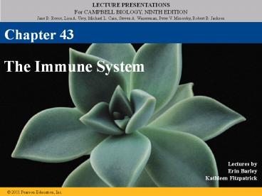 The Immune System