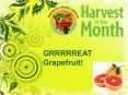 GRRRRREAT Grapefruit! PowerPoint PPT Presentation