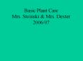 Basic Plant Care Mrs. Stoinski PowerPoint PPT Presentation