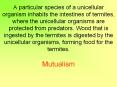 A particular species of a unicellular organism inhabits the intestines of termites, where the unicellular organisms are protected from predators. Wood that is ingested by the termites is digested by the unicellular organisms, forming food for the PowerPoint PPT Presentation