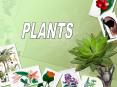 PLANTS PowerPoint PPT Presentation