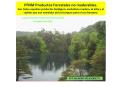 PFNM Productos Forestales no maderables. Son todos aquellos productos biol PowerPoint PPT Presentation