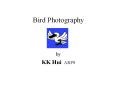 Bird%20Photography PowerPoint PPT Presentation