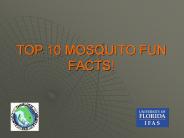 TOP 10 MOSQUITO FUN FACTS!