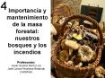 Importancia y mantenimiento de la masa forestal: nuestros bosques y los incendios PowerPoint PPT Presentation
