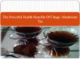 The Powerful Health Benefits Of Chaga  Mushroom Tea