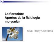 La floraci