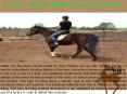 Valitar - Highly Skilled Horse and Rider PowerPoint PPT Presentation