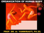 ORGANIZATION OF HUMAN BODY