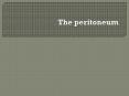 The peritoneum PowerPoint PPT Presentation