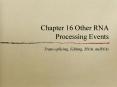 Chapter 16 Other RNA Processing Events PowerPoint PPT Presentation