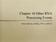 Chapter 16 Other RNA Processing Events