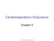 Cardiorespiratory Endurance