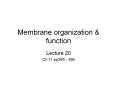 Membrane organization PowerPoint PPT Presentation