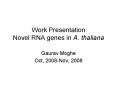 Work Presentation Novel RNA genes in A. thaliana PowerPoint PPT Presentation