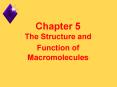 Chapter 5      The Structure and Function of Macromolecules PowerPoint PPT Presentation
