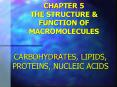 CHAPTER 5 THE STRUCTURE PowerPoint PPT Presentation