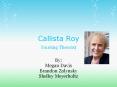 Callista Roy Nursing Theorist PowerPoint PPT Presentation
