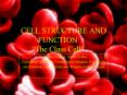 CELL STRUCTURE AND FUNCTION  PowerPoint PPT Presentation